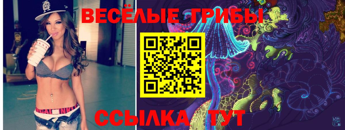 Галлюциногенные грибы MAGIC MUSHROOMS  Вход с VPN  Псилоцибиновые грибы GOLDEN TEACHER  Алейск 