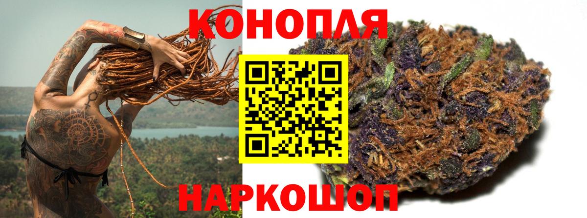 Бошки Шишки конопля  МАРИХУАНА индика  Вход с VPN  Алейск  Канабис индика  МАРИХУАНА конопля 